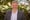 Picture of Mark J Smith | MBA, Juris Doctor Founder & Chief Story Teller, CourtList